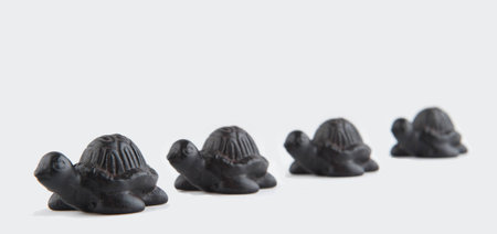 wood turtleの写真素材