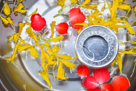 water flowerの写真素材