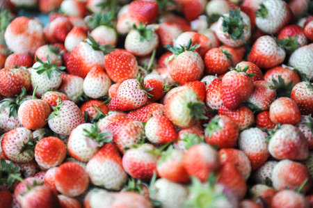 white strawberryの写真素材