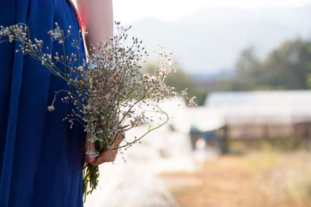 girl hold flowerの写真素材