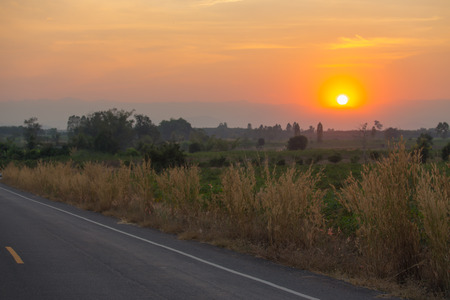silhouete sunset of  grass flower clump beside road in rural of Thailandの写真素材