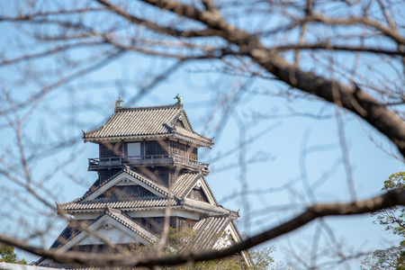 kumamoto castle in kyushu Japan, look through the dry cherry blossom branch in winterのeditorial素材