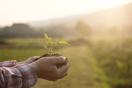 Soil cultivated dirt, earth, ground, agriculture Field land background Nurturing baby plant on hand, Organic gardening, agriculture. Nature closeup and selective focus and vintage tone.の写真素材