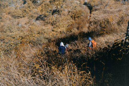 Team trekking walking in forest and mountain.の写真素材
