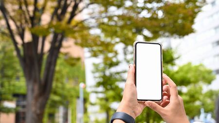 Woman hands holding mockup smartphone in park with autumn.の写真素材