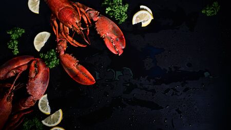Above shot two lobster with lemon and parsley, Copy space dark background.の写真素材