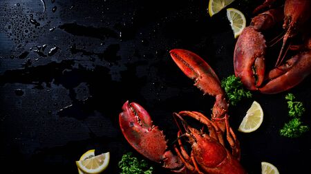 Above shot two lobster with lemon and parsley, Copy space dark background.の写真素材