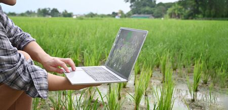 Cropped image of young smart farmer holding a computer laptop with visual icon on screen over rice field as background. Agriculture technology concept.の写真素材