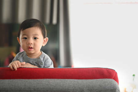 Baby boy climbing on sofa in living room at home.の写真素材