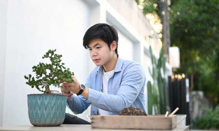 Portrait of a smiling man is trimming bonsai on wooden table at home. Hobby lifestyle concept.の写真素材