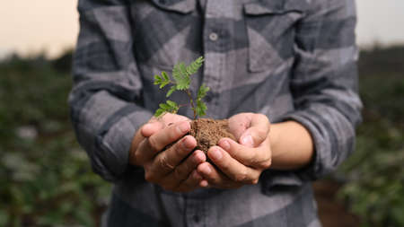 Close up view businessman sitting in meeting room and using digital tablet.の写真素材