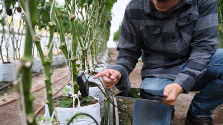 Agronomist man holding tablet and measure quality of soil with digital device in greenhouse. Technology in the agriculture.の写真素材