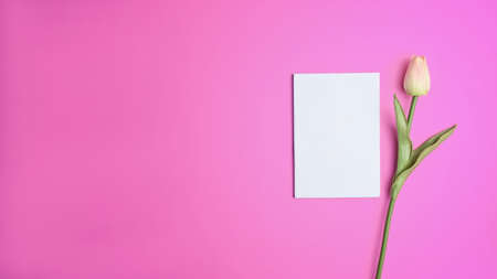 Modern workspace with computer laptop, coffee cup, notebook, smart phone and copy space on yellow background.の写真素材