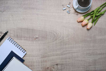 Spicy papaya salad and ingredients on wooden background.の写真素材