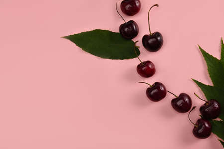 Fresh cherries with stems and leaves on pink background.の写真素材