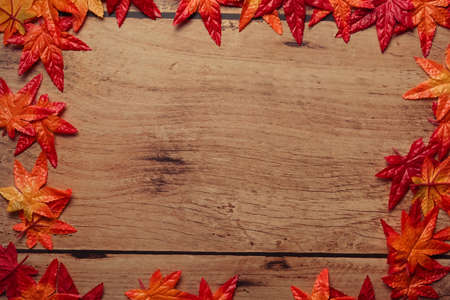 Autumn season concept. Colorful Autumn maple leaves on wooden background.