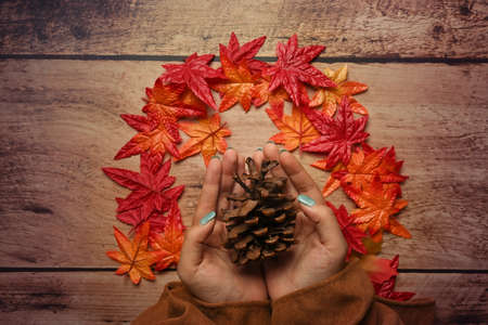 Woman hands holding pine cone on wooden background with autumn maple leaves.の写真素材