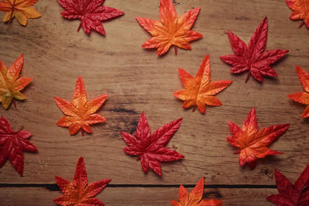 Autumn maple leaves on wooden background. Autumn season concept.