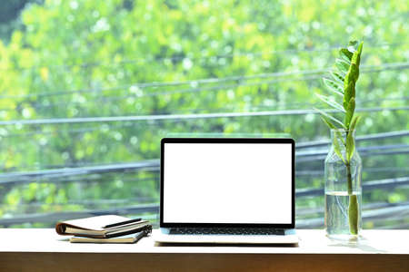 Front view laptop computer, books and plant on wooden table.の写真素材