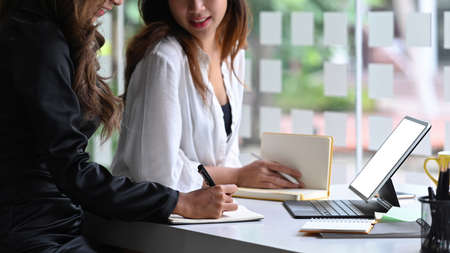 Two businesswomen discussing business documents together in the office.の写真素材