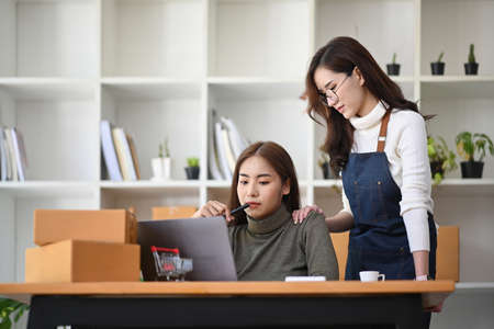 Smiling businesswoman explaining information on laptop computer to her colleague.の写真素材