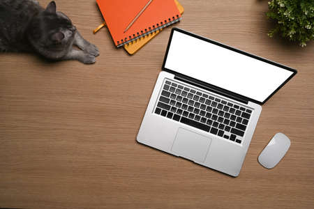 Mock up computer laptop, lovely cat and books on wooden desk.の写真素材