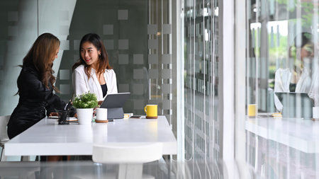 Two successful businesswomen discussing for new project planning in office.