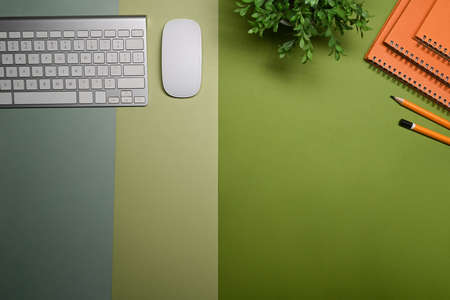 Above view wireless keyboard, houseplant and notebook on green background.の写真素材