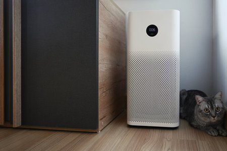 Air purifier and cute cat on wooden floor in living room.