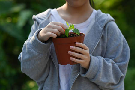 Little girl holding potted plant in hands against blurred green nature background. Saving the world, Ecology, Earth day concept.の写真素材