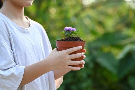 Little girl hands holding plant in hands against blurred green nature background. Concept of saving...