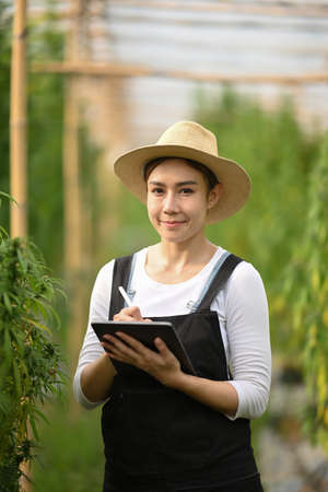 Young woman smart farmer using digital tablet, inspecting cannabis plants in greenhouse. Business agricultural cannabis farm.の写真素材