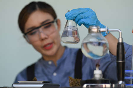 Chemist in laboratory testing cbd oil extracted from a marijuana plant. Herbal alternative medicine, cbd oil concept.の写真素材