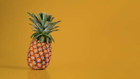 Ripe pineapple on yellow background with copy space. Summer, tropical fruit concept.の写真素材