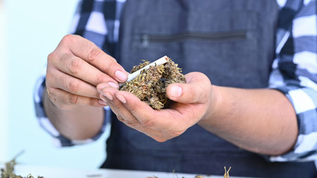 Cropped image of young farmer hands holding cannabis buds. Alternative herbal, business agricultural cannabis farm.の写真素材