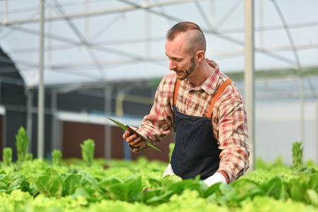 Caucasian smart farmer using tablet to check quality of hydroponic vegetable in greenhouse. Agriculture technology concept.の写真素材