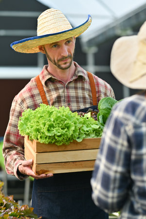 Portrait of smiling man farmer giving a wooden crate full of fresh organic vegetables to customer.の写真素材