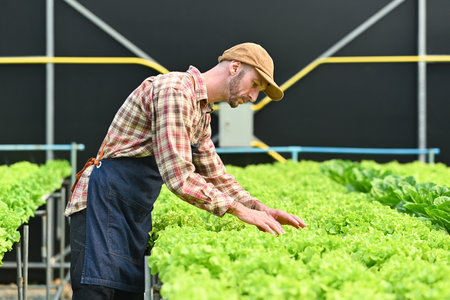 Millennial caucasian male farmer working in hydroponics system vegetable farm. Agriculture business concept.の写真素材