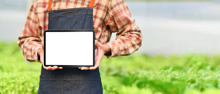 Cropped shot of male farmer in apron holding digital tablet with empty screen standing in hydroponic greenhouse.の写真素材