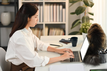 Focused female freelancer in smart casual wears looking at laptop screen, working online or checking email at the morning.の写真素材