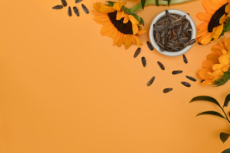 Sunflower seeds in blow on yellow background with space for your text. Organic product and vegan food concept.の写真素材