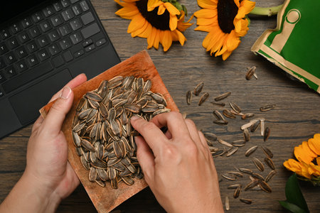 Above view of man eating sunflower seeds at working desk. Healthy eating, snacks concept.
