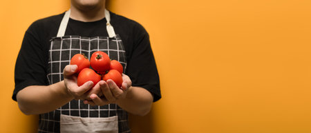 Unrecognizable wearing apron holding fresh organic tomatoes on yellow background. Vegetables and healthy food concept.の写真素材