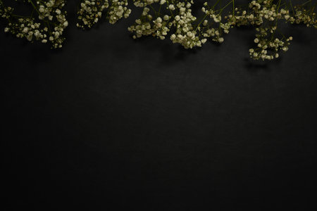 Dried baby breath flowers on black background. Flat lay, top view with copy space.の写真素材