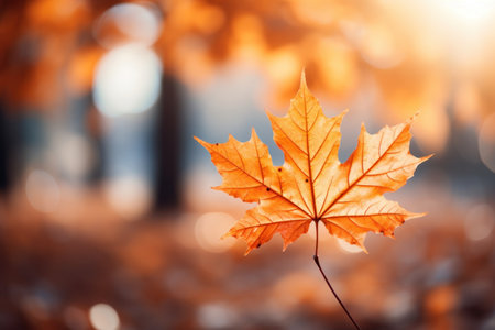 Maple leaf with Autumn background with orange, Generative with Ai.. High quality photoの素材