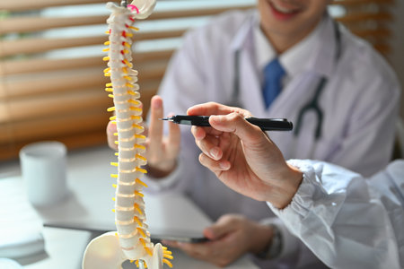 Orthopedists white medical lab coat discussing patient treatment pointing at backbone model.の写真素材