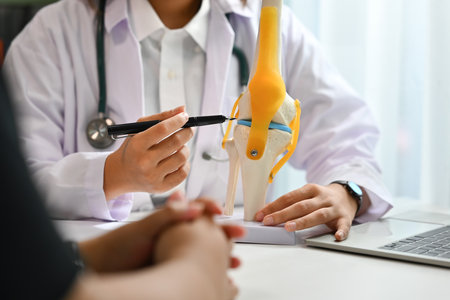 Orthopedists pointing at knee joint model, explaining the problem to patient during appointment.の写真素材
