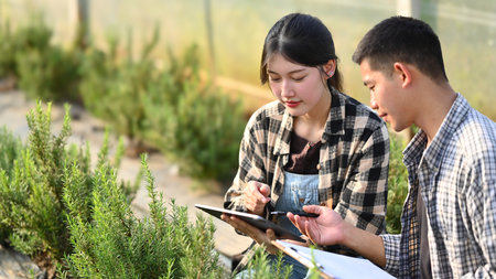 Young farmers examining green rosemary and recording farming data on digital tablet.