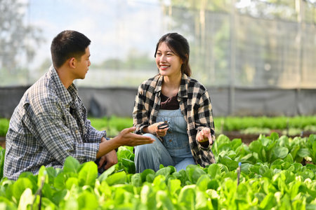 Young couple of farmers working in greenhouse with vegetables and sunshine.の写真素材