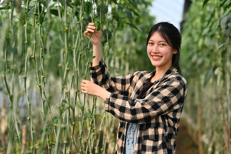 Smiling Asian female farmer standing among growing bell peppers. Agribusiness and eco farming conceptの写真素材